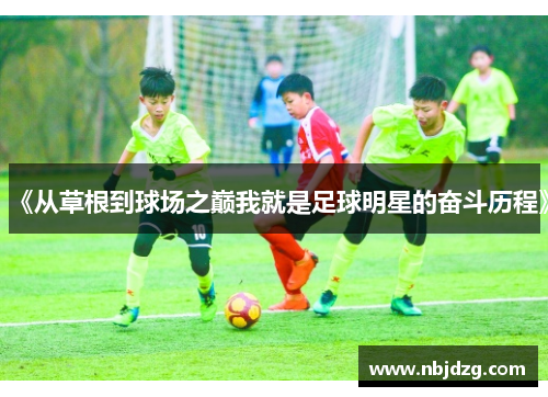 《从草根到球场之巅我就是足球明星的奋斗历程》