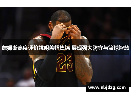 詹姆斯高度评价姚明盖帽集锦 展现强大防守与篮球智慧